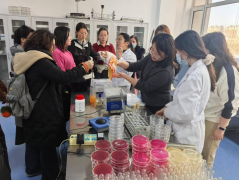 开设了产科、妇科、生殖核心、分析外科及核心